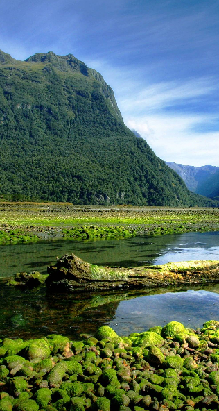 Remote wonders